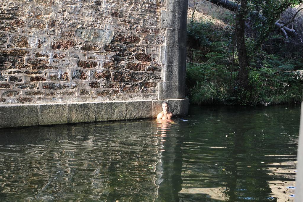 Affittacamere La Grulla Dorada Perales del Puerto Esterno foto